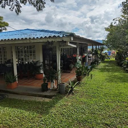 Villa Monica Montenegro Exteriör bild