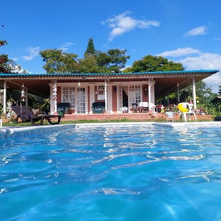 Villa Monica Montenegro Exteriör bild