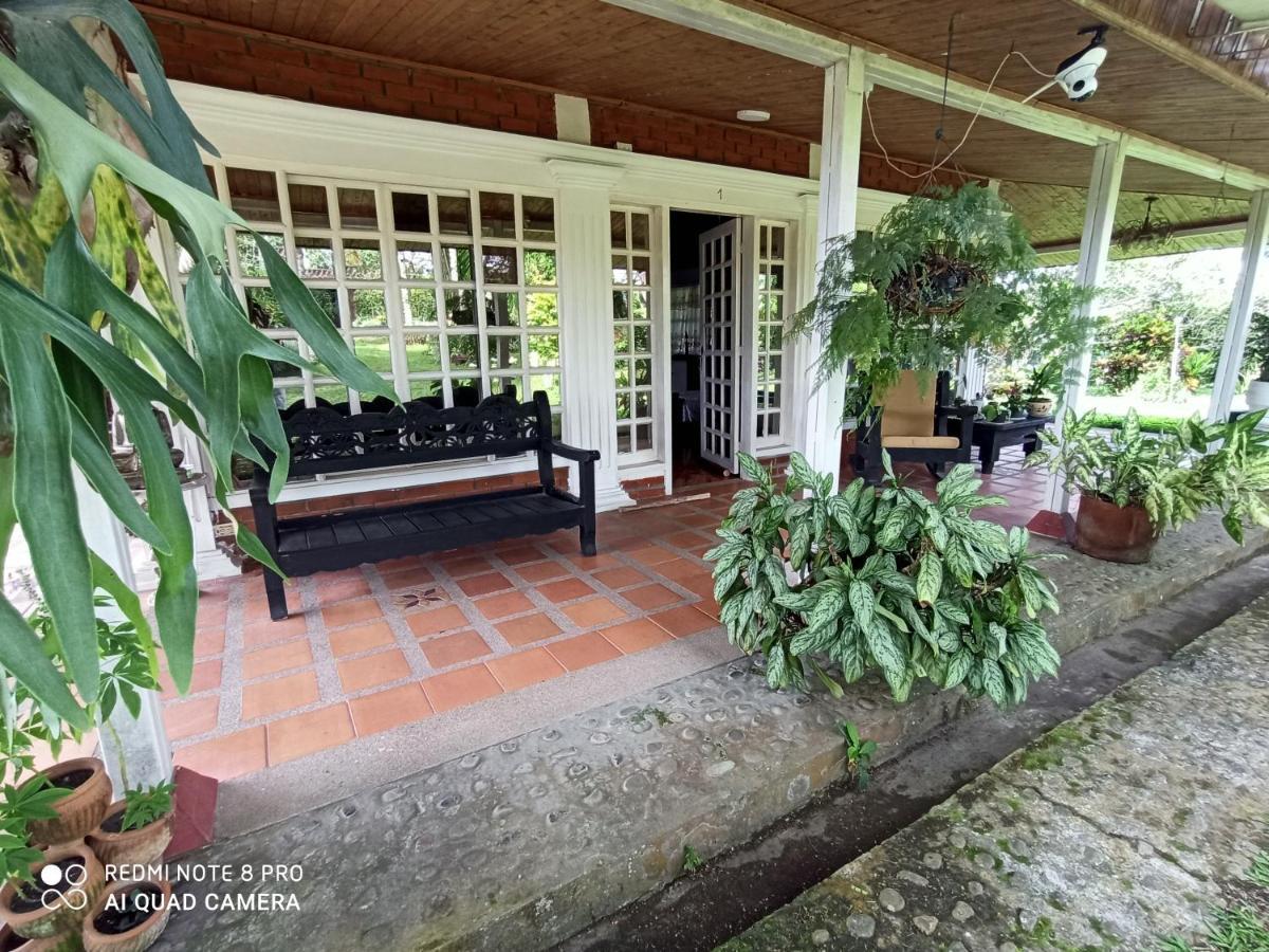 Villa Monica Montenegro Exteriör bild