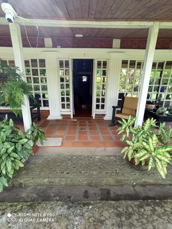 Villa Monica Montenegro Exteriör bild