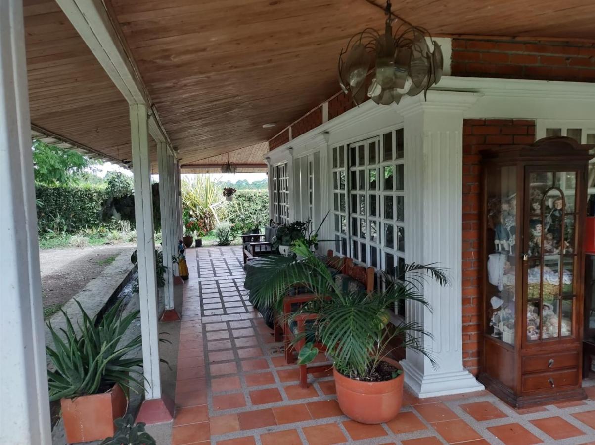 Villa Monica Montenegro Exteriör bild